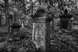 jüdischer Friedhof im Wald/12806915