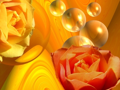 Bild-Nr: 9583520 Rosen in orange Erstellt von: Martina Fornal