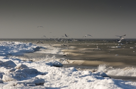Bild-Nr: 9933102 Nordsee im Winter Erstellt von: JuliArt