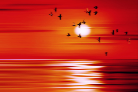 Bild-Nr: 9952601 Sonnenuntergang Erstellt von: Galerie-Fotoeffekt