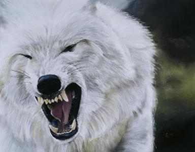 Bild-Nr: 9972616 Polarwolf Erstellt von: suender-artworks