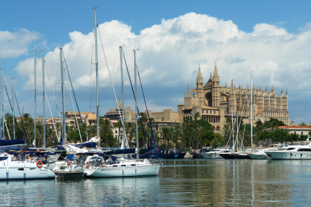 Bild-Nr: 10005915 Palma de Mallorca, Yachthafen und Kathedrale Erstellt von: Frank Rother