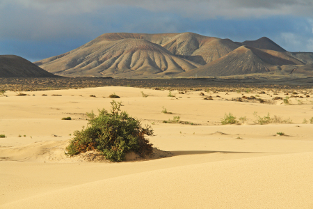 Bild-Nr: 10013027 Dünenlandschaft mit Vulkanbergen auf Fuerteventura Erstellt von: Frank Rother