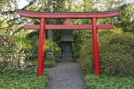 Bild-Nr: 10049185 japanischer Garten Erstellt von: danielschoenen