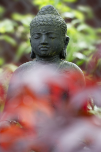 Bild-Nr: 10079261 Buddha 2 Erstellt von: danielschoenen