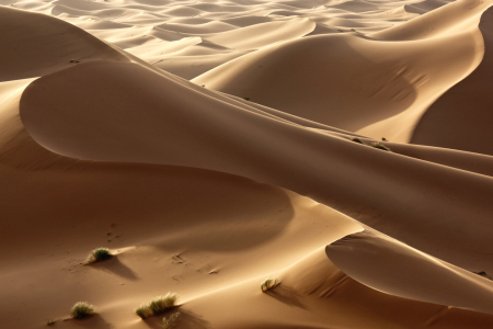 Bild-Nr: 10103712 Sahara desert dream Erstellt von: sarosa