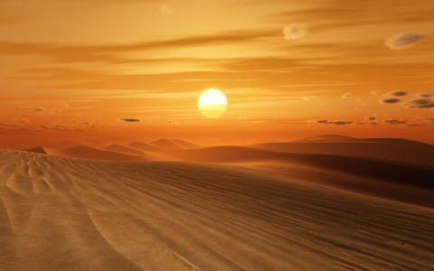 Bild-Nr: 10132412 Sonnenuntergang in der Wüste Erstellt von: Markus Gann