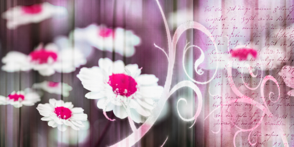Bild-Nr: 10141562 Floral Collage Erstellt von: Galerie-Fotoeffekt