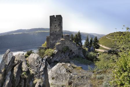 Bild-Nr: 10241527 Burg Gutenfels bei Kaub-Ostseite Erstellt von: Erhard Hess