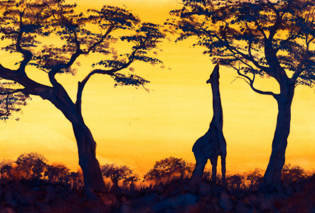 Bild-Nr: 10404979 Giraffe im Sonnenuntergang Erstellt von: JitkaKrause