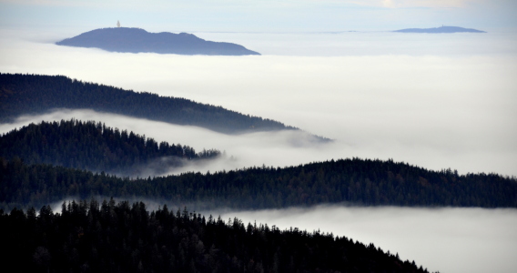 Bild-Nr: 10418675 Nebel im Tal Erstellt von: GUGIGEI