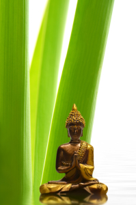 Bild-Nr: 10437321 Buddha Erstellt von: Atteloi