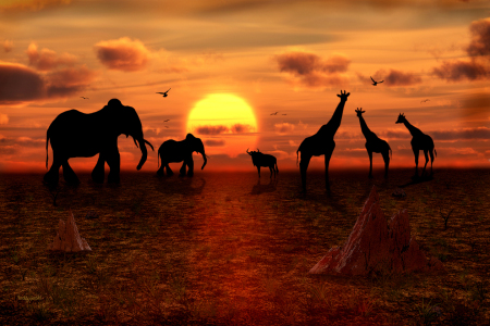 Bild-Nr: 10463336 In Afrika geht die Sonne unter  Erstellt von: teddynash