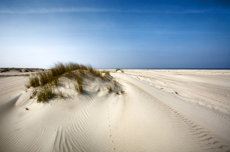 Bild-Nr: 10514051 Spuren im Sand Erstellt von: Timo Geble