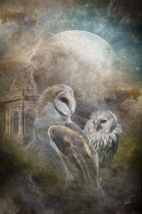 Bild-Nr: 10539045 owl of magic Erstellt von: greenfeed