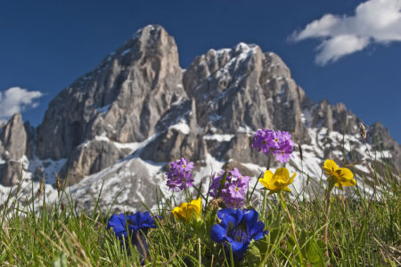 Bild-Nr: 10549349 Frühling in den Dolomiten Erstellt von: EderHans