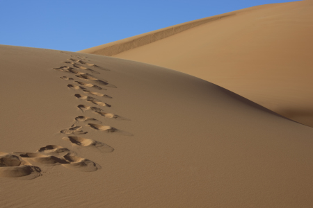 Bild-Nr: 10575293 Wüste - Fussspuren auf einer Sanddüne in der Sahara. Erstellt von: sarosa