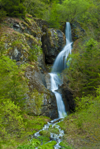 Bild-Nr: 10600204 Wasserfall Erstellt von: Stefan Friedhoff