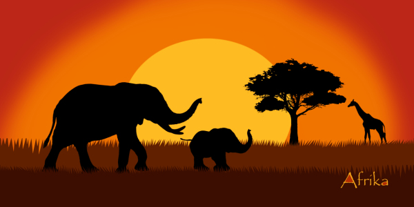 Bild-Nr: 10622266 Wildlife Afrika mit Elefanten Erstellt von: Mausopardia
