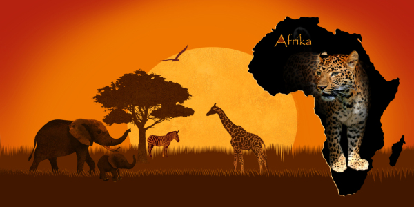 Bild-Nr: 10630780 Wildlife mit Kontinent Afrika und Leopard Erstellt von: Mausopardia