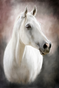 Bild-Nr: 10661434 White Horse Erstellt von: Val Thoermer