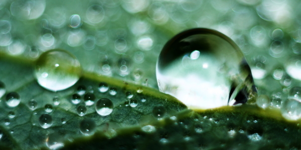 Bild-Nr: 10713297 Wasserspiel Saftgrün - pur Natur Erstellt von: Knibbli
