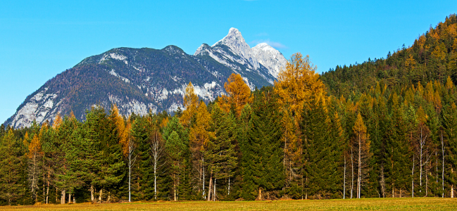 Bild-Nr: 10715441 Tirol - Herbst im Karwendel Erstellt von: wompus