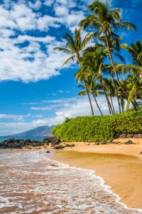 Bild-Nr: 10929103 Maui Beach - Hawaii Erstellt von: TomKli
