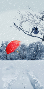 Bild-Nr: 11096963 Der rote Regenschirm im Schneesturm Erstellt von: Mausopardia