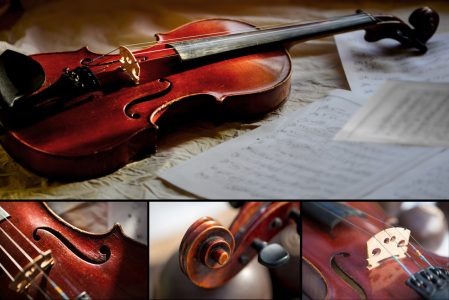 Bild-Nr: 11098139 Ansichten einer Violine Erstellt von: Christiane Calmbacher