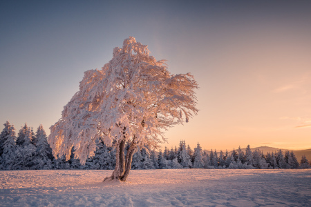 Bild-Nr: 11134352 Winterlicht Erstellt von: Andreas Andreas Wonisch