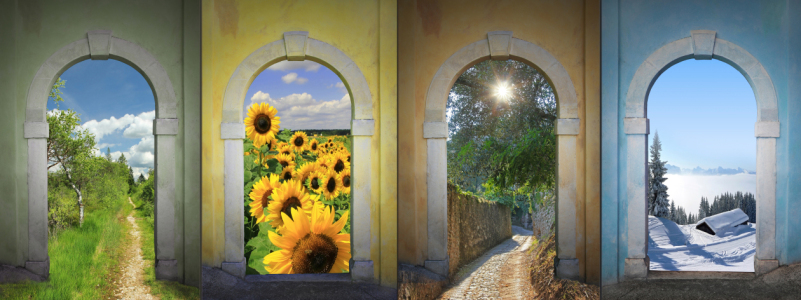 Bild-Nr: 11173284 Collage - Vier Jahreszeiten IV Erstellt von: SusaZoom
