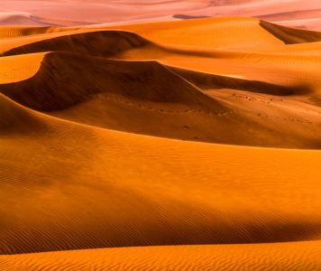 Bild-Nr: 11245440 Dubai - Wüstenansicht  Erstellt von: Jean Claude Castor