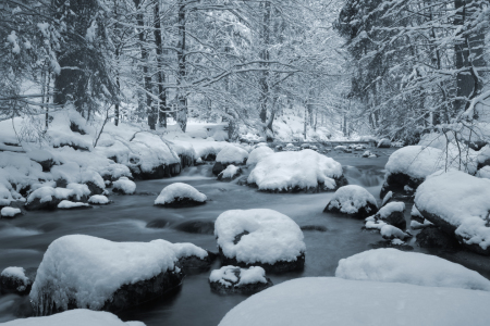 Bild-Nr: 11441599 Winter im Harz Erstellt von: Steffen Gierok