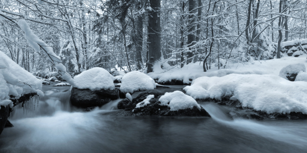 Bild-Nr: 11441601 Winter im Harz Erstellt von: Steffen Gierok