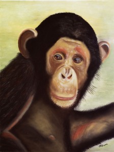 Bild-Nr: 11561454 Schimpanse Erstellt von: MoNoir