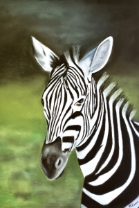 Bild-Nr: 11561506 Zebra Erstellt von: MoNoir