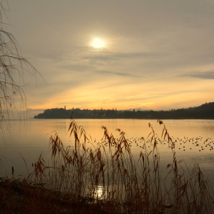 Bild-Nr: 11630309 Morgens am Bodensee Erstellt von: GUGIGEI