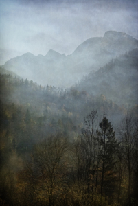 Bild-Nr: 11784090 nebelschönheit - misty beauty Erstellt von: augenWerk