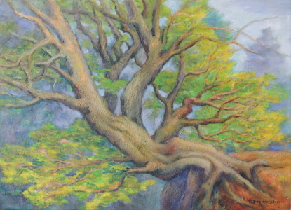 Bild-Nr: 11851447 Alter grünender Baum an der Hangkante Erstellt von: Landschaftsmaler