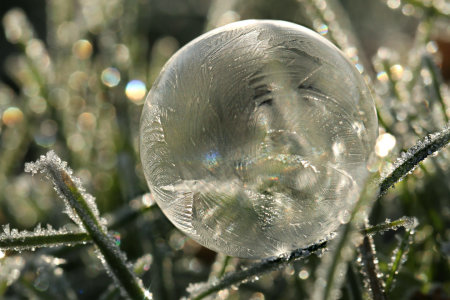 Bild-Nr: 11859448 Seifenblase im Wintergras Erstellt von: Heike  Hultsch