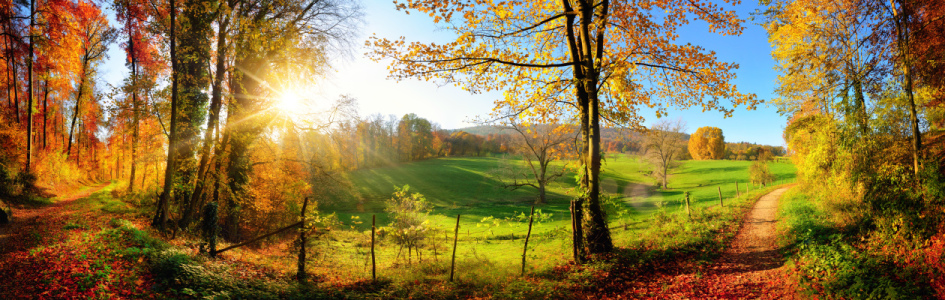 Bild-Nr: 12052947 Zauberhafte Landschaft im Herbst Erstellt von: Smileus