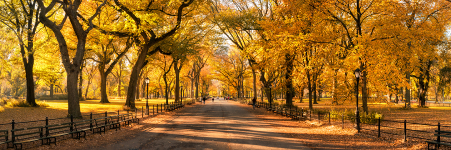 Bild-Nr: 12099809 Central Park in New York City Erstellt von: eyetronic