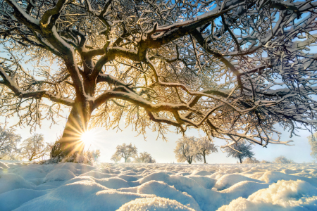 Bild-Nr: 12108057 Winterlandschaft mit der Sonne hinter schönem Bau Erstellt von: Smileus