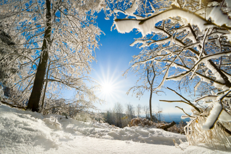 Bild-Nr: 12108058 Heitere Winterlandschaft mit Sonne Erstellt von: Smileus