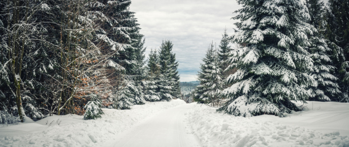 Bild-Nr: 12143634 Winterwald Panorama Erstellt von: luxpediation