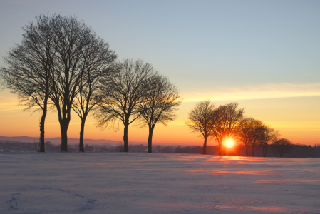Bild-Nr: 12387727 Winter Sonnenaufgang Erstellt von: Tanja Riedel