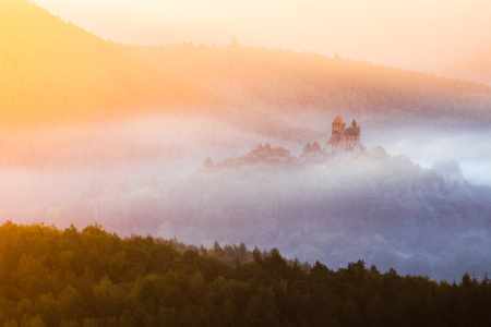 Bild-Nr: 12624861 Burg Berwartstein im Nebel Erstellt von: Daniela Beyer