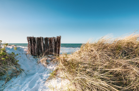 Bild-Nr: 12722318 Natürlicher Sandfänger an der Ostsee  Erstellt von: Ursula Reins