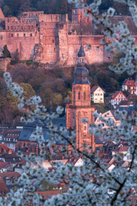 Bild-Nr: 12741128 Heiliggeistkirche in Heidelberg Erstellt von: eyetronic